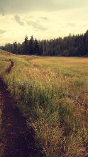 传奇手游推荐截图3