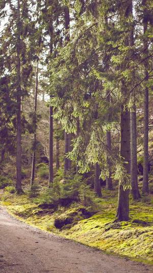 冒险岛170级去哪里升级截图4