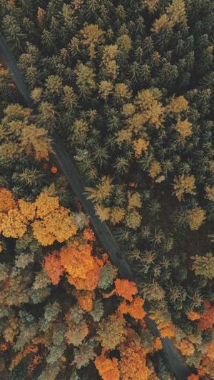 冒险岛网站截图2