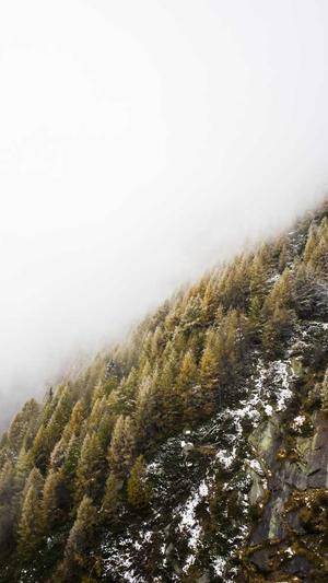 怀旧冒险岛截图2