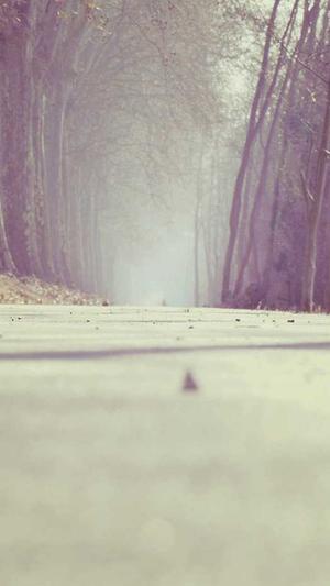 冒险岛闹钟截图3