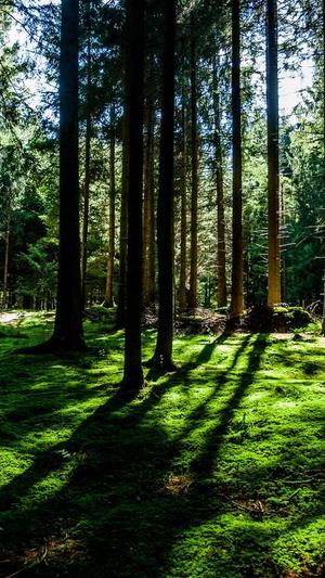 冒险岛v188截图3