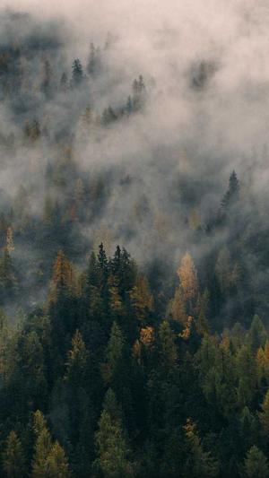 dnf账号金库升级截图2