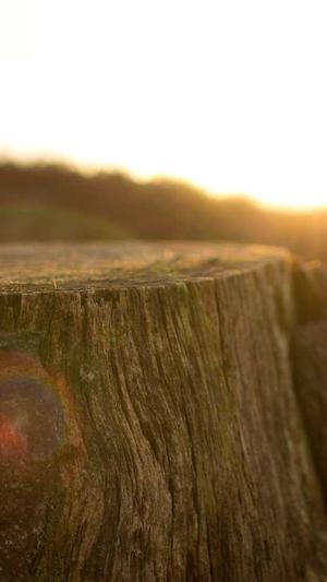 冒险岛恶魔猎手装备截图2