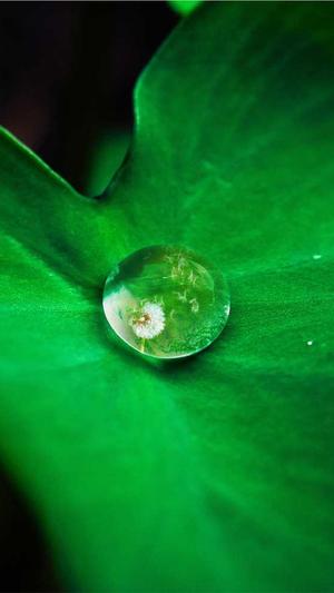 dnf阿修罗技能截图1