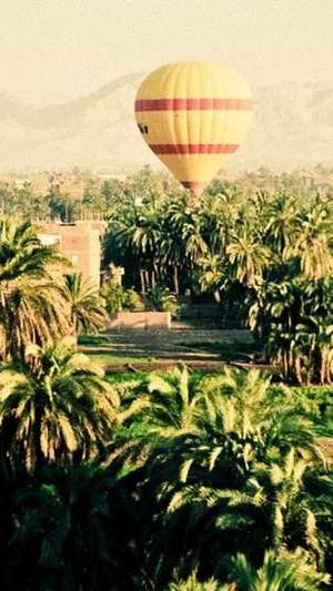 梦幻西游私服刷元宝截图4