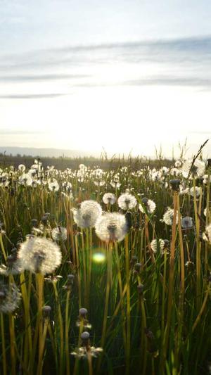 dnf武器附魔截图4