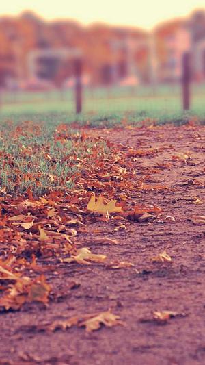 冒险岛挂机辅助截图1