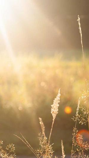 冒险岛麦吉的旧战剑截图1