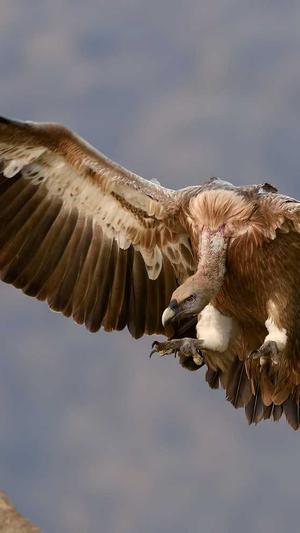 超变传奇私服发布网截图3