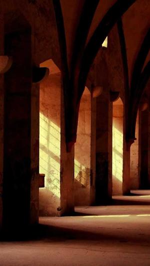 都市神龙传奇截图3