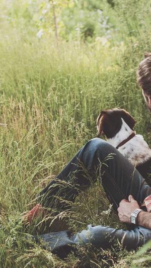 冒险岛蘑菇王国怎么去截图1