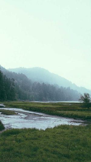 dnf5173游戏交易平台截图2