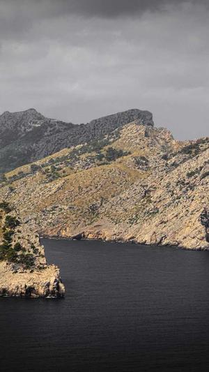 冒险岛唐云的料理截图2