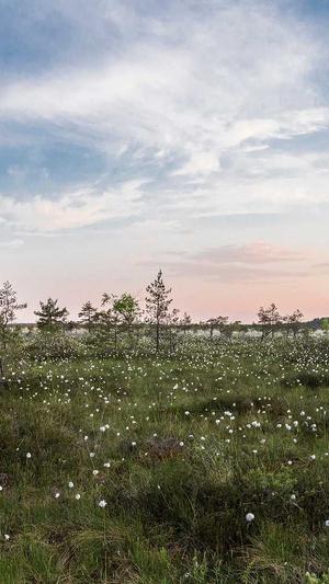 dnf怎么附魔截图3