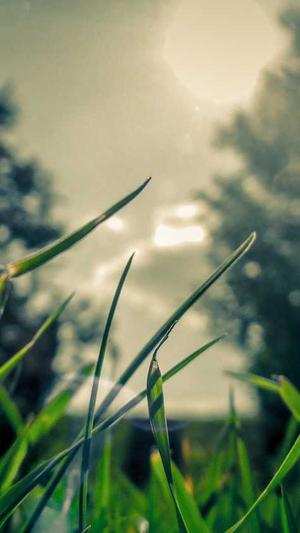 新传奇私服发布网截图2