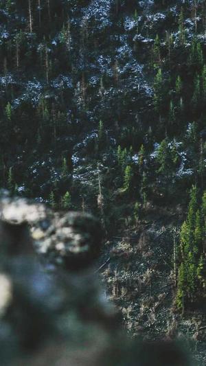 新开私服传奇截图1