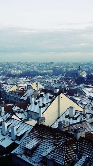 梦幻西游私服变态版截图2