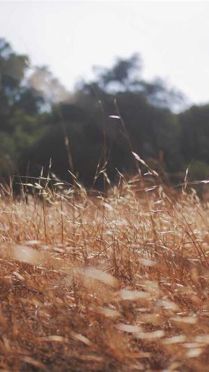 新开1.80传奇截图2