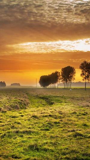 冒险岛月妙任务截图2