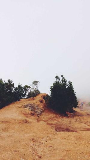 dnf体验服论坛截图2