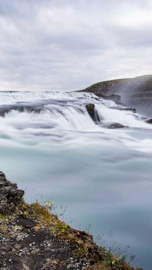 冒险岛怪物图鉴截图3