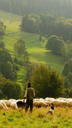 亚瑟王传奇截图4