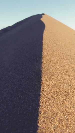 今日新开传奇网站截图2