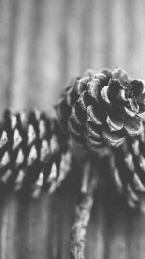 dnf2020金秋套外观截图3