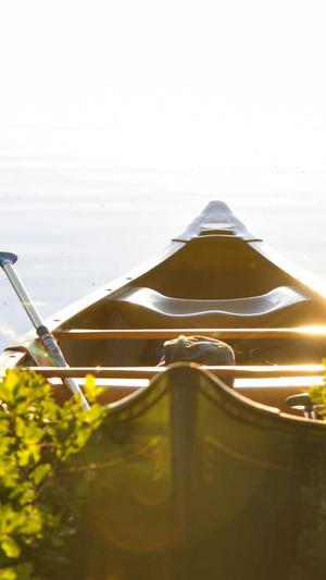 梦幻西游手游私服群截图3