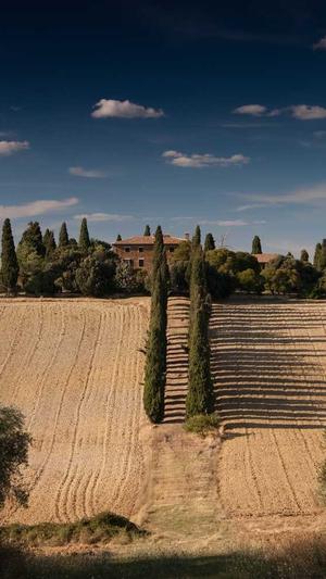 dnf暗帝加点截图1