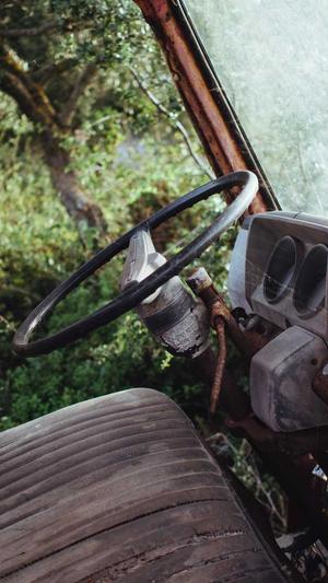 冒险岛绿蘑菇哪里多截图4