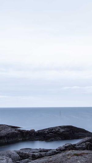 dnf春节宠物截图3