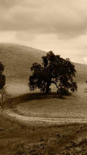 dnf日服语音包截图3