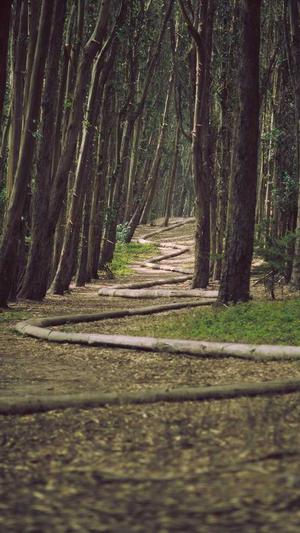 冒险岛凯梅尔兹怎么去截图5