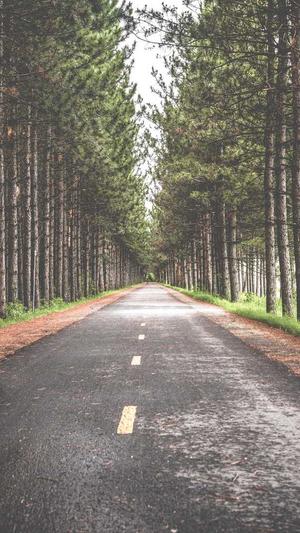 海外传奇私服截图2