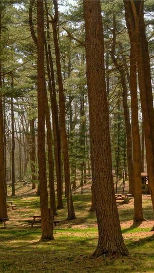 冒险岛在线玩截图3