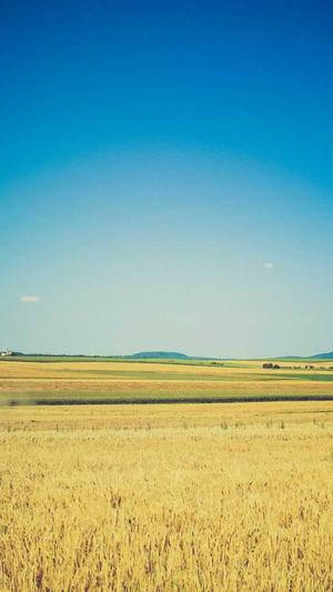 冒险岛尖兵属性加点截图2