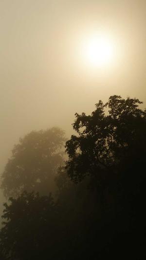 老版传奇客户端下载截图2