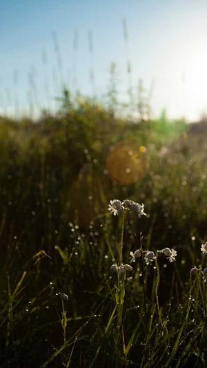 冒险岛飞侠职业哪个好截图3