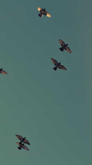 冒险岛职业排名2018截图3