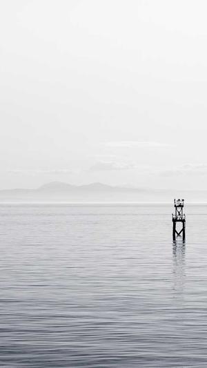 冒险岛2贴吧截图3