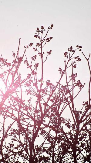 冒险岛 079截图2