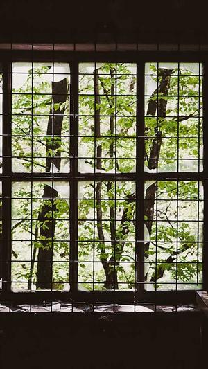 dnf剑神加点截图3