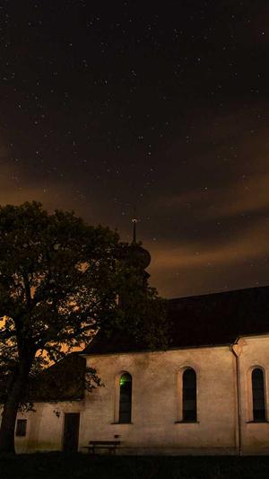 高桥名人冒险岛下载截图2