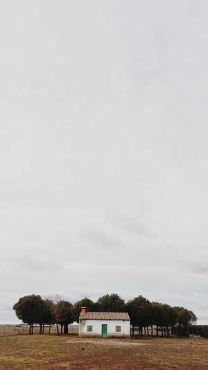 我本沉默传奇截图1