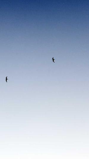 冒险岛航海任务前置截图3