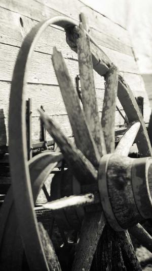 dnf安图恩攻略截图5