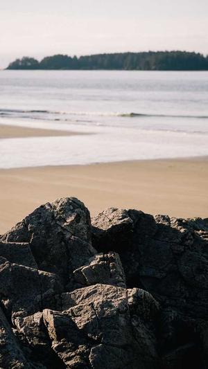 dnf成长契约截图2