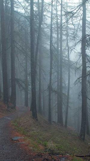 怀旧冒险岛截图1